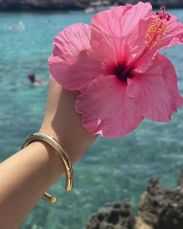 Pulsera Cane Oro